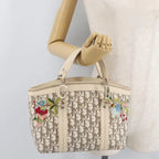 Preowned Authentic Christian Dior Trotter Canvas Hand Bag Ivory Silver Auth 179424A